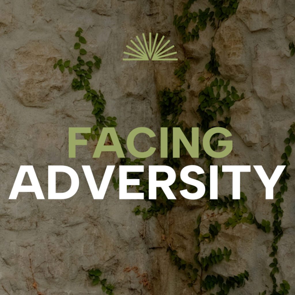 Overcoming Adversity: You Aren’t Fighting Alone